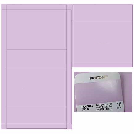 Paso 2, Colores del diseño